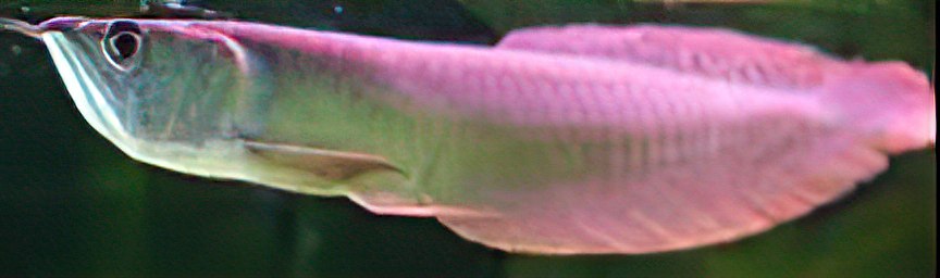 11zon_cropped (2) (1)