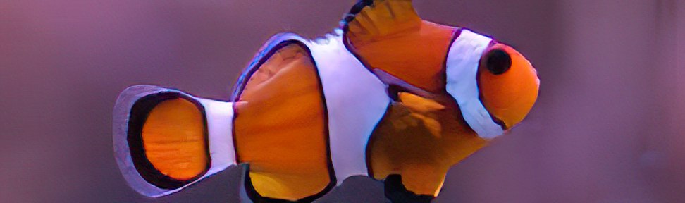 11zon_cropped (3) (1)